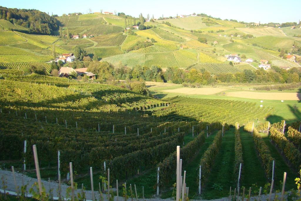 Farm Stay Jarc Vineyard Svecina Exterior photo